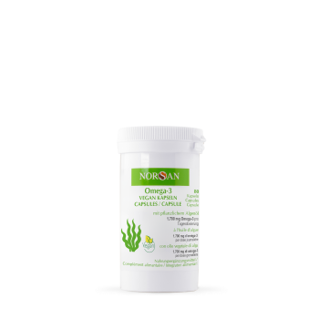 Moringa-Kapseln-BIO-Activwell-GmbH-Langrickenbach