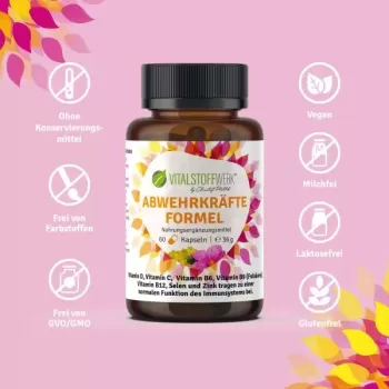 Preview: Abwehrkräfteformel, 60 Kapseln