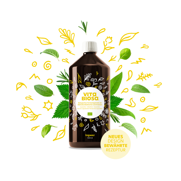 VitaBiosa Ingwer 1000 ml